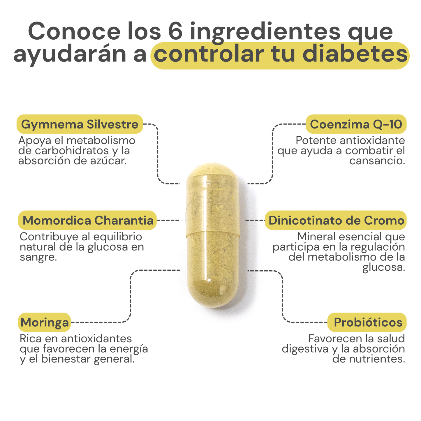DBT Health Max® | Controla tu diabetes de manera natural