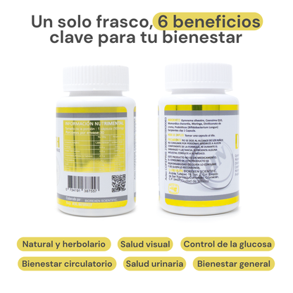 DBT Health Max® | Controla tu diabetes de manera natural